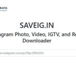 SaveIG
