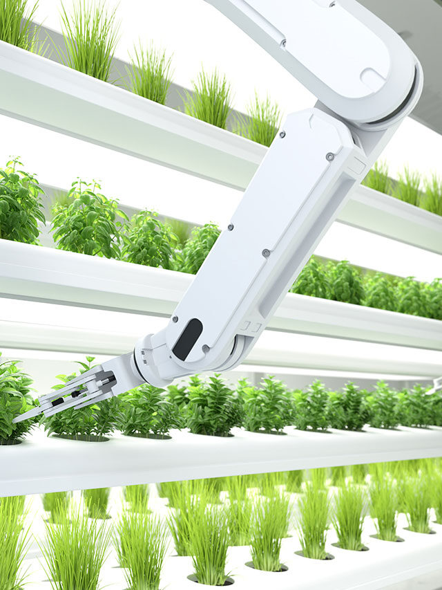 how AI is used in agriculture