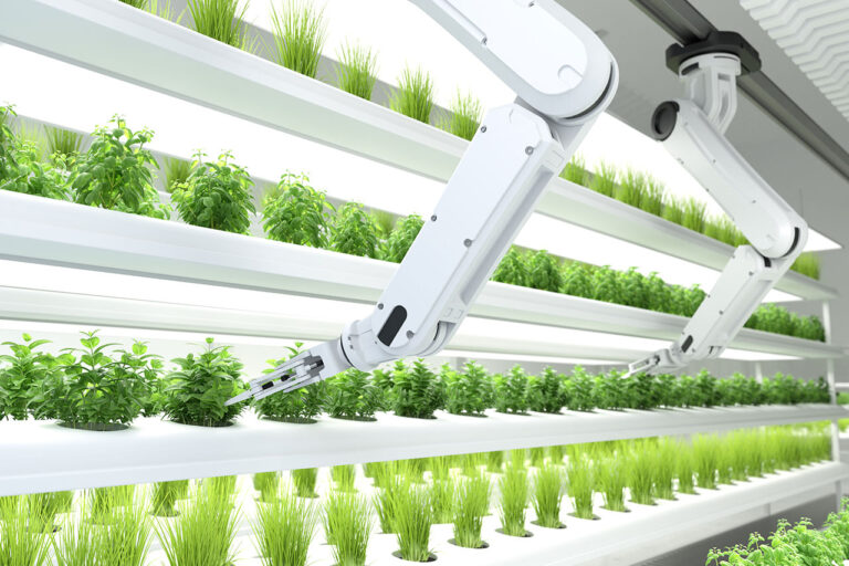 The Impact of AI in Agriculture