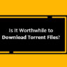 Is It Worthwhile to Download Torrent Files