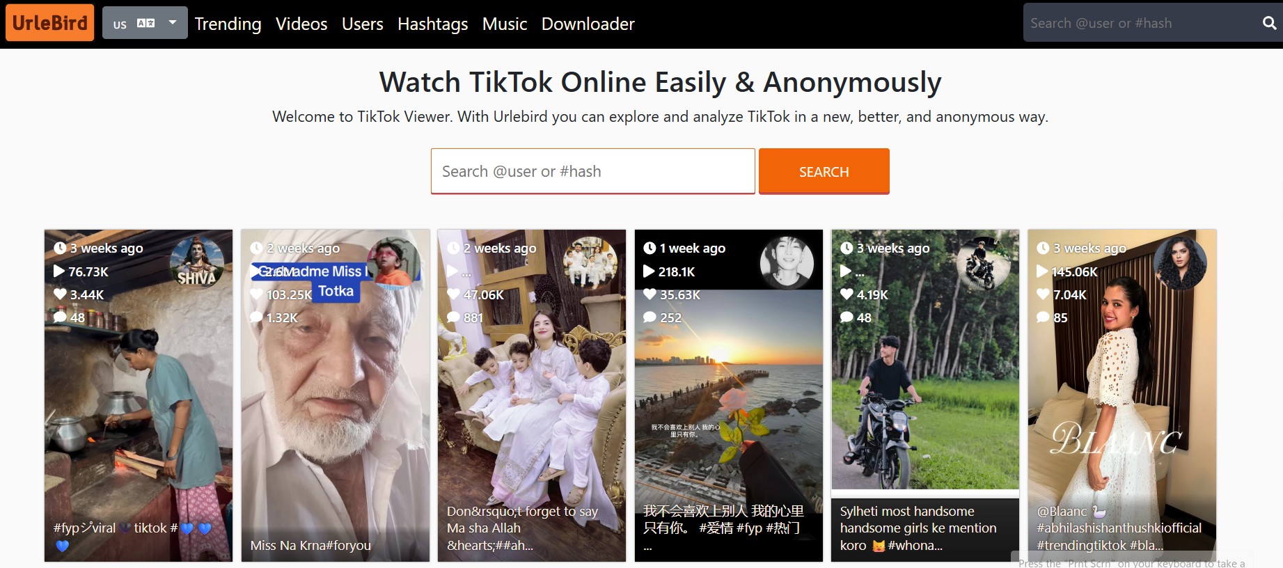 urlebird website view