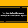 Gojek Clone App Development Companies in Nigeria