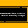 Ransomware Attacks