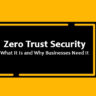 Zero Trust Security